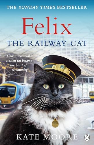 Full Steam Ahead, Felix!: Moore, Kate: 9781405942300: Amazon.com